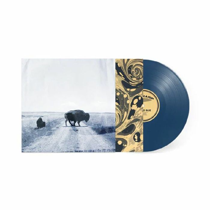 BIG HARP - Runs To Blue vinyl sleeve