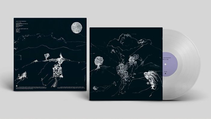 ANENON - Dream Temperature vinyl sleeve