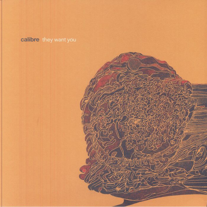 CALIBRE - They Want You vinyl sleeve