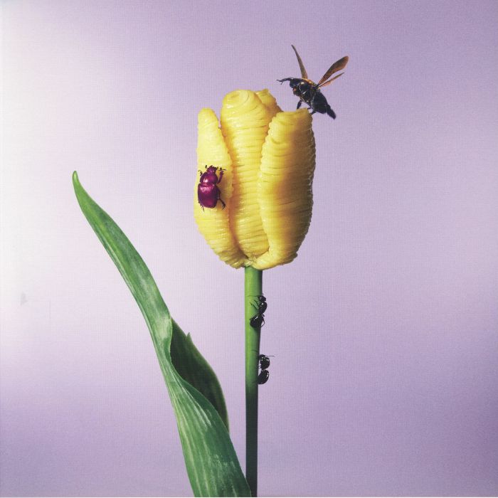 AIMYON - Oishii Pasta Ga Aru To Kiite (reissue) vinyl sleeve