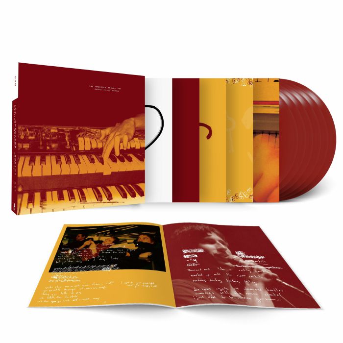 AMERICAN ANALOG SET, The - Destroy Destroy Destroy vinyl sleeve