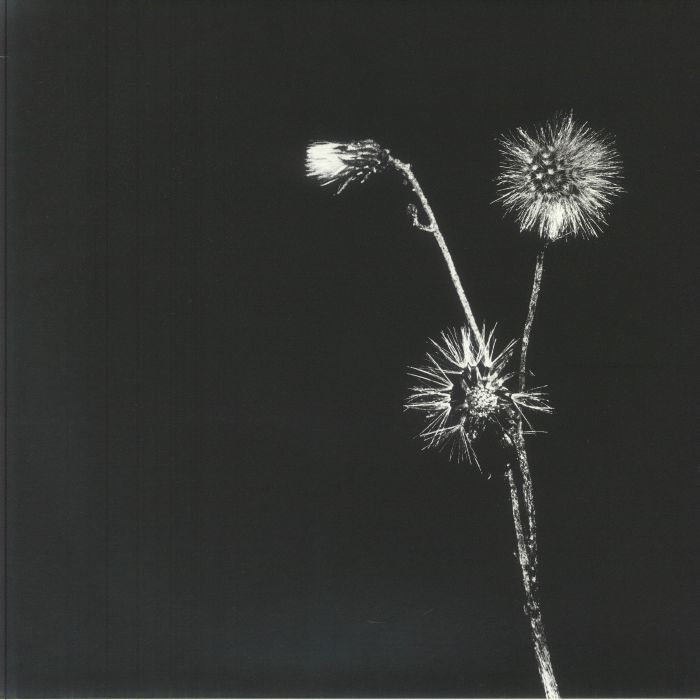 DASILVA, Jon/SKYSKRAPA feat DONALD WAUGH - Sun Brings Joy vinyl sleeve