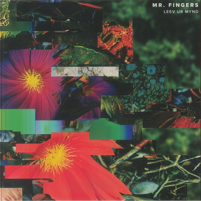 MR FINGERS - Leev Ur Mynd vinyl