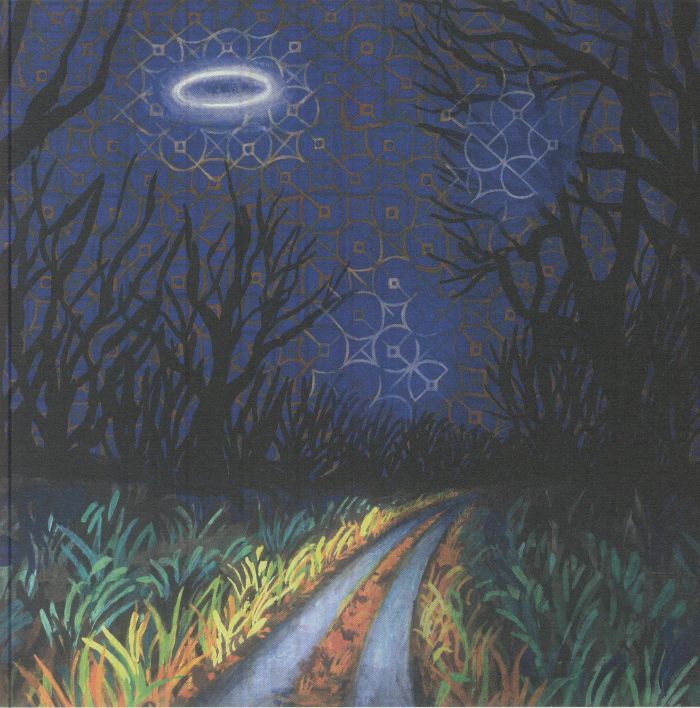 TOODLES & THE HECTIC PITY - Every Night Is A Beautiful Night vinyl sleeve