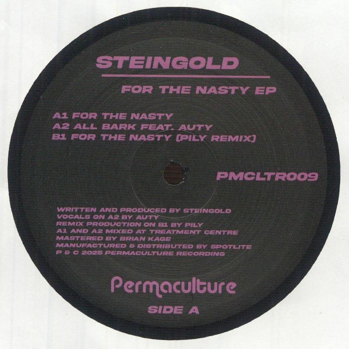 STEINGOLD - For The Nasty EP vinyl sleeve