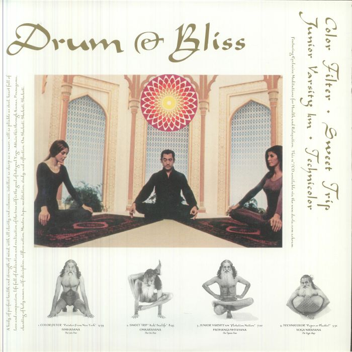 VARIOUS - Drum & Bliss vinyl sleeve