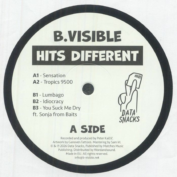 B VISIBLE - Hits Different vinyl sleeve