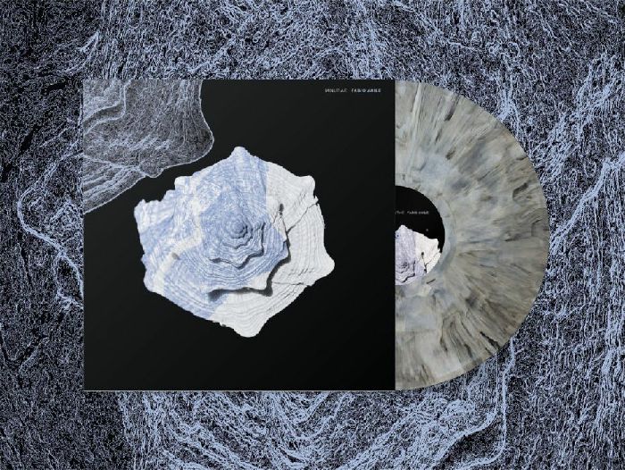 ANILE, Fabio - Minutiae vinyl sleeve