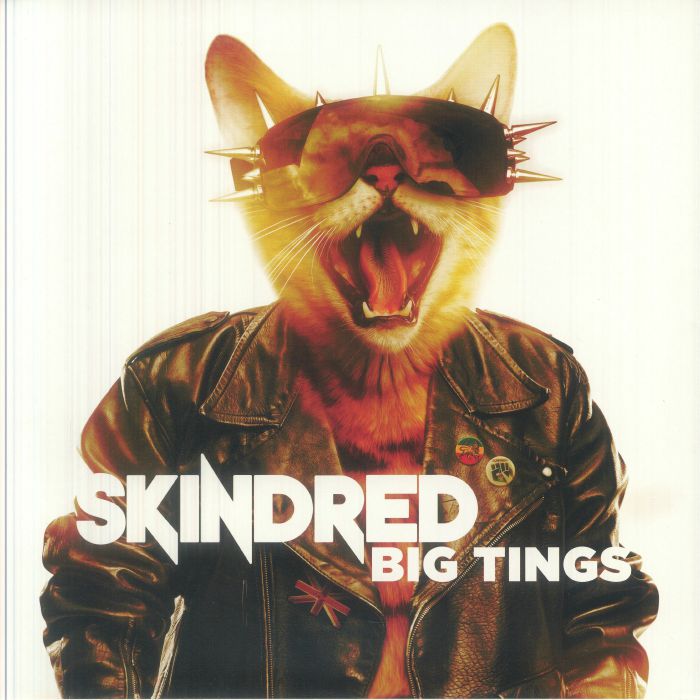 SKINDRED - Big Tings vinyl sleeve