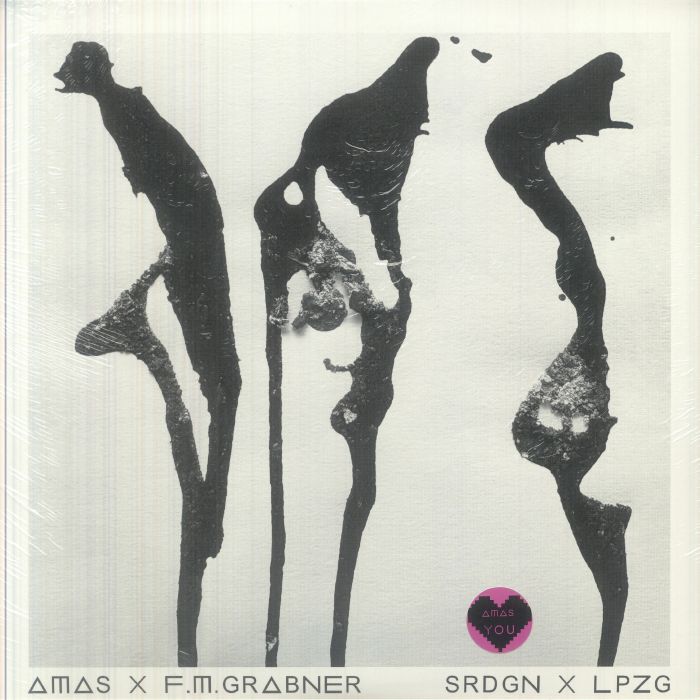 AMAS/FM GRABNER - Srdgn X Lpzg vinyl sleeve