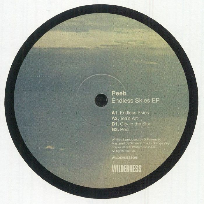 PEEB - Endless Skies EP vinyl sleeve