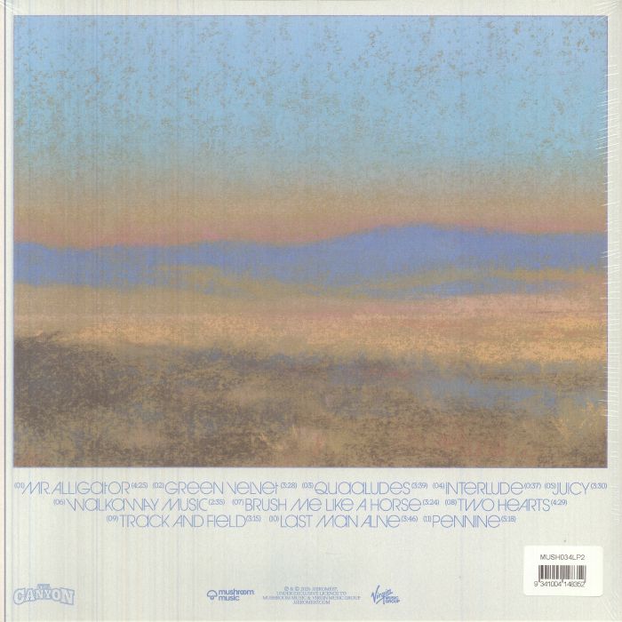 JJEROME87 - The Canyon vinyl sleeve
