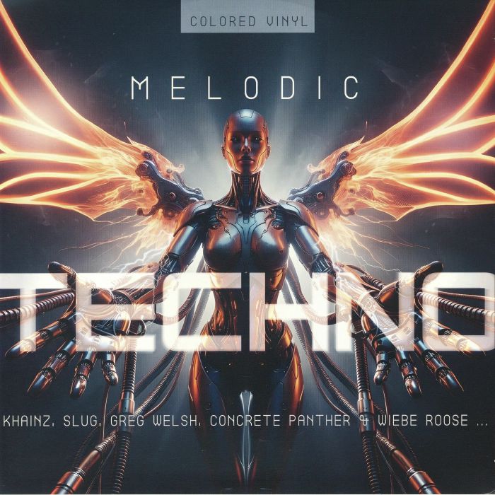 VARIOUS - Melodic Techno 2026 vinyl sleeve