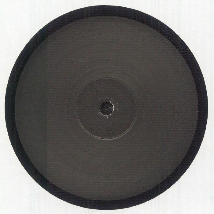 RAVE R - Kariya vinyl sleeve