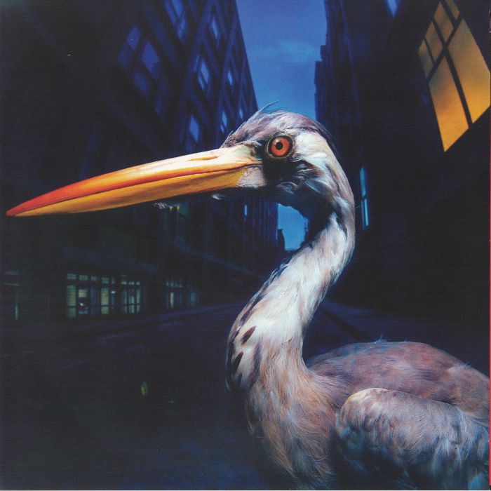 SZMIEREK, Antony - Decoding Birdsong vinyl sleeve