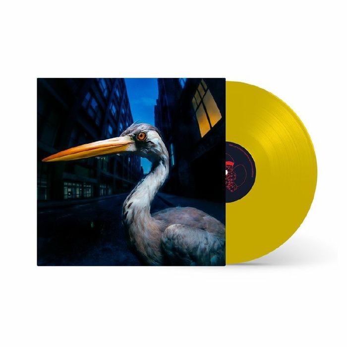 SZMIEREK, Antony - Decoding Birdsong vinyl sleeve