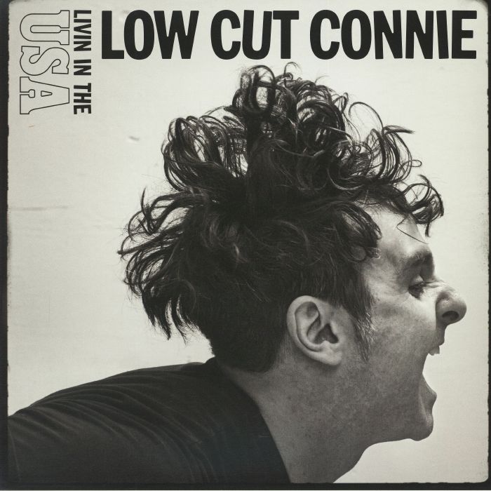 LOW CUT CONNIE - Livin In The USA vinyl sleeve