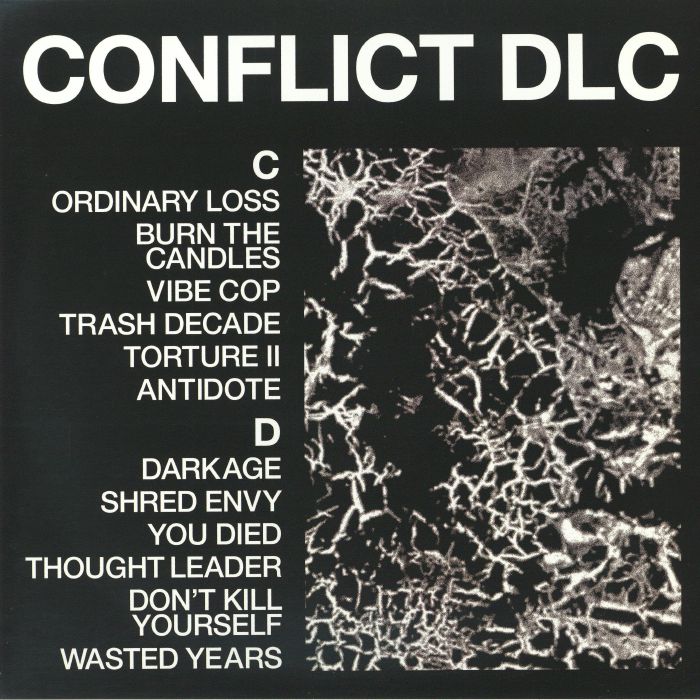 HEALTH - Conflict DLC vinyl sleeve