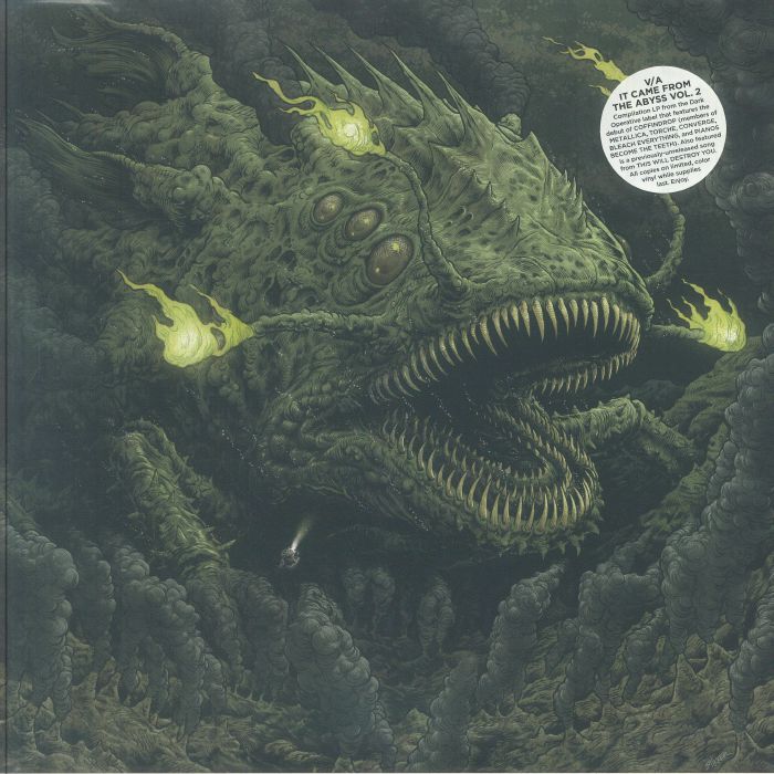 VARIOUS - It Came From The Abyss: Volume 2 vinyl sleeve