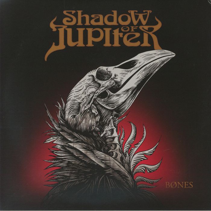 SHADOW OF JUPITER - Bones vinyl sleeve