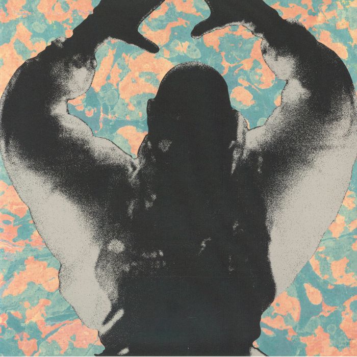 STARTLED INSECTS - The Antenna Years vinyl sleeve