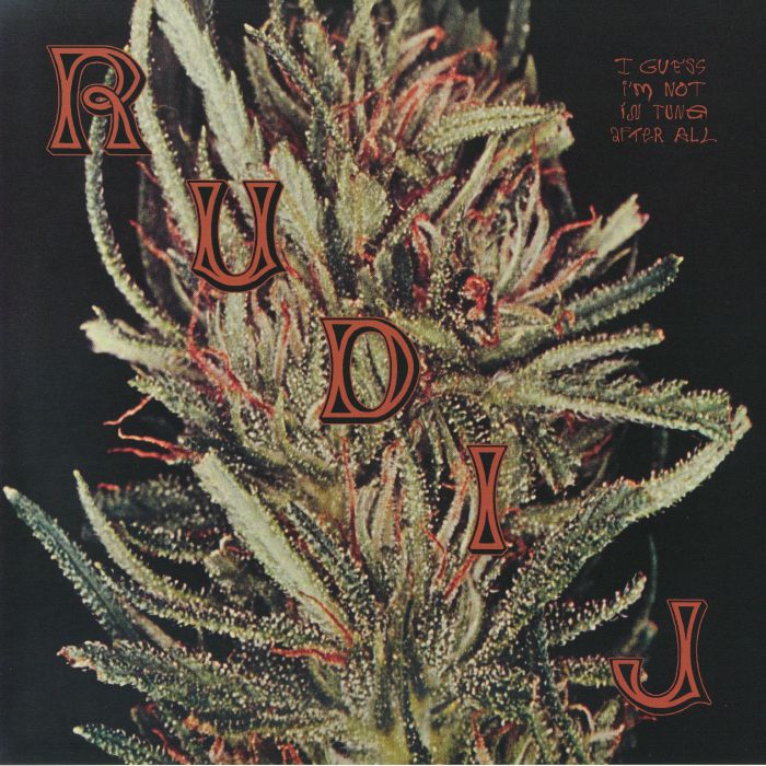RUDI J - I Guess I'm Not In Tune After All vinyl sleeve