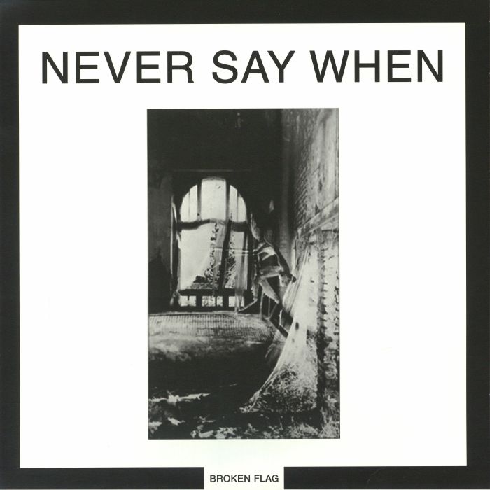 VARIOUS - Never Say When (reissue) vinyl sleeve