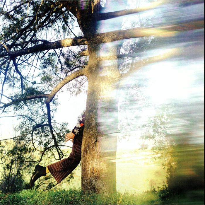 LAY, Shannon - Past The Veil vinyl sleeve