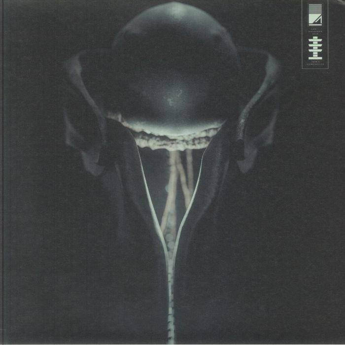 0UROBOREAN - Se Lene Ki Yane EP vinyl sleeve