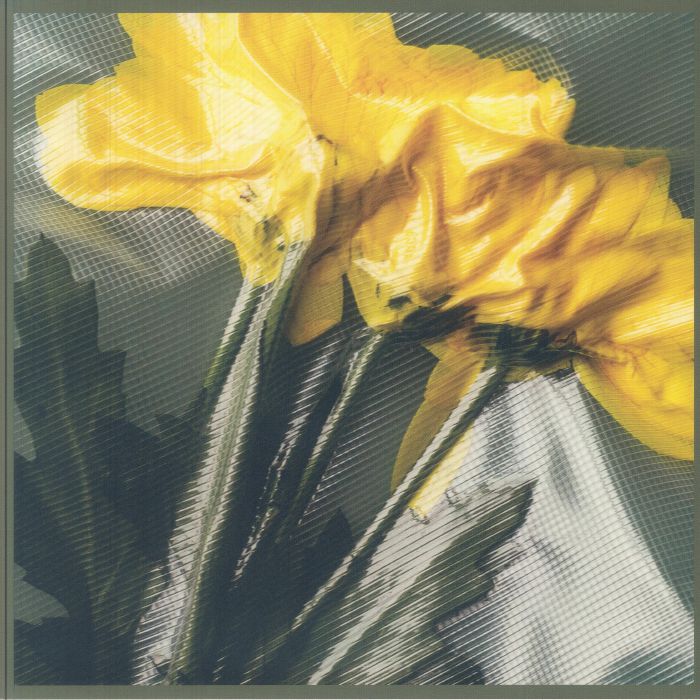 HUNTER - Mica vinyl sleeve
