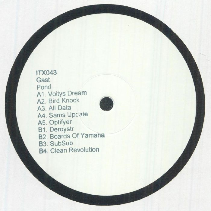 GAST - Pond vinyl sleeve