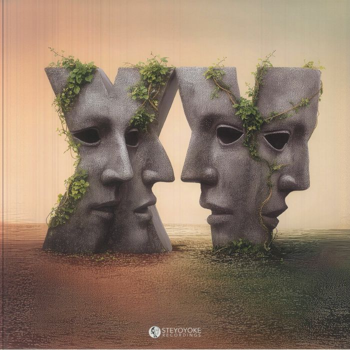 VARIOUS - Steyoyoke Anniversary Vol 15 vinyl sleeve