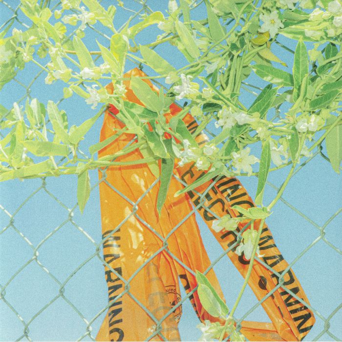 LOCKSTEP - I Know What I Saw vinyl sleeve