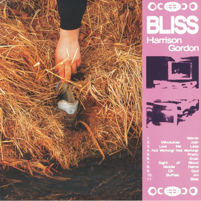 GORDON, Harrison - Bliss vinyl sleeve