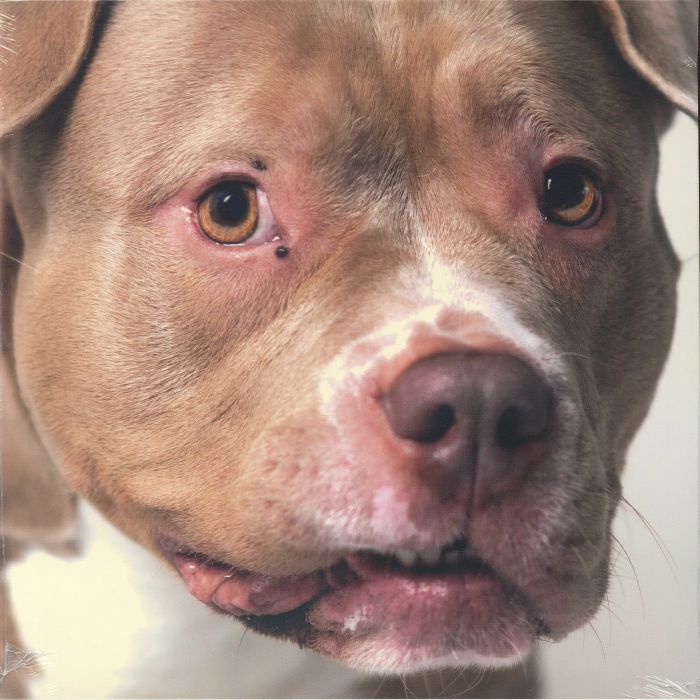 YOPE/AVVNT MM - Music For Dogs vinyl sleeve