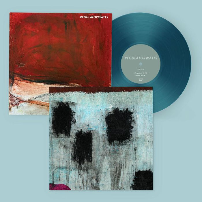 REGULATOR WATTS - Kwh vinyl sleeve