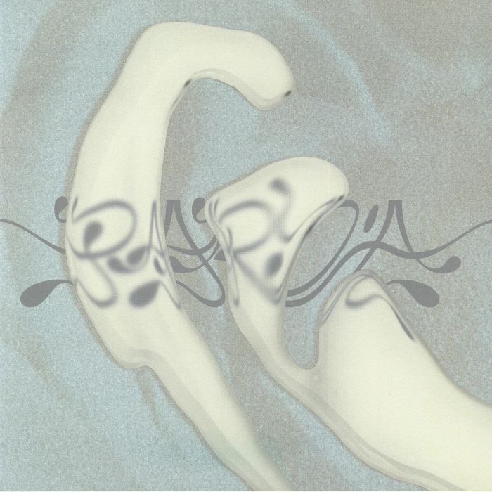 VARIOUS - 5 Years Paryia vinyl sleeve