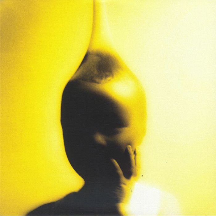 LEMONSUCKR - Life Is A Heist vinyl sleeve