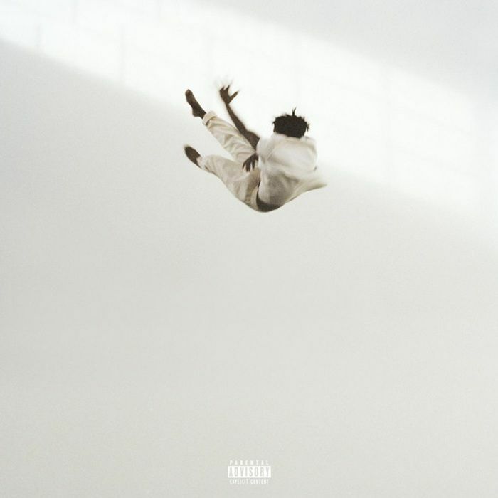 CAESAR, Daniel - Pilgrim's Paradise vinyl sleeve