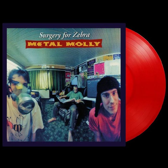 METAL MOLLY, Surgery For Zebra (reissue)