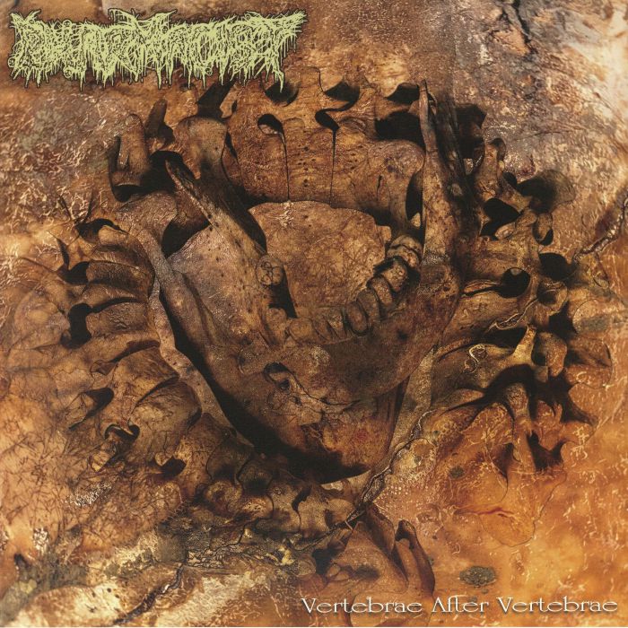 PHARMACIST - Vertebrae After Vertebrae vinyl sleeve