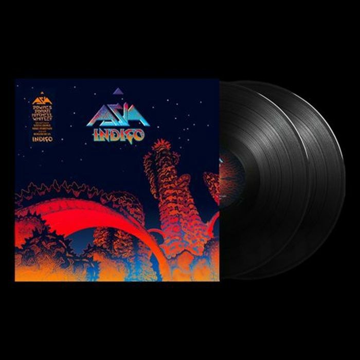 ASIA - Indigo vinyl sleeve