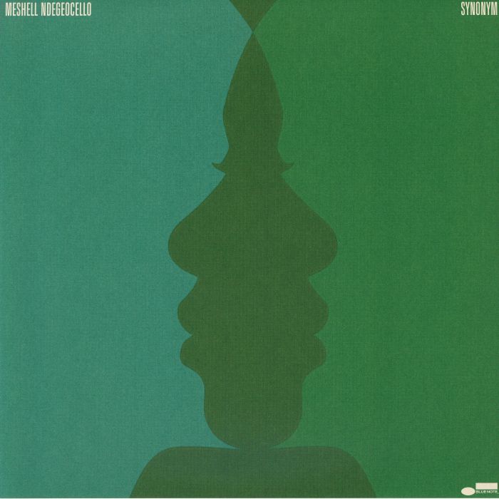 NDEGEOCELLO, Meshell - Synonym vinyl sleeve