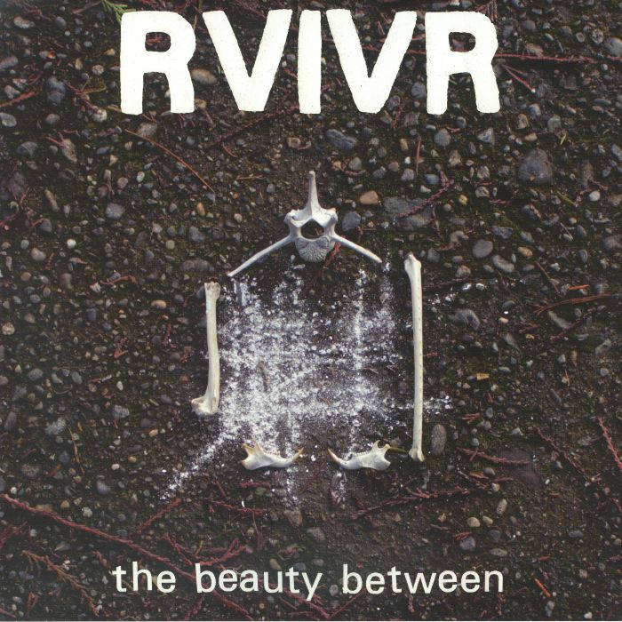 RVIVR - The Beauty Between vinyl sleeve