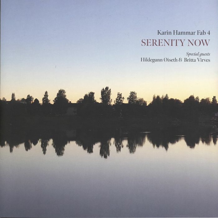 KARIN HAMMAR FAB 4 - Serenity Now vinyl sleeve