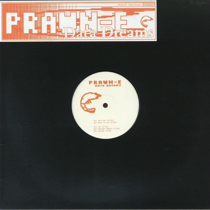 PRAWN E - Data Dreams vinyl sleeve