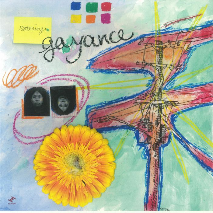 GAYANCE, Roaming vinyl sleeve