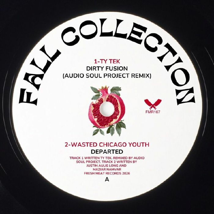 TY TEK/WASTED CHICAGO YOUTH/AUDIO SOUL PROJECT - Fall Collection vinyl sleeve