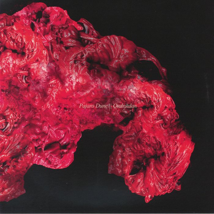 PAJARO DUNE - Ondaedan vinyl sleeve