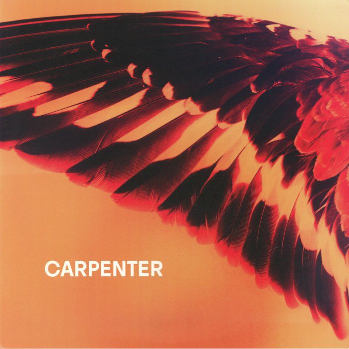 CARPENTER - Sea To Sky vinyl sleeve